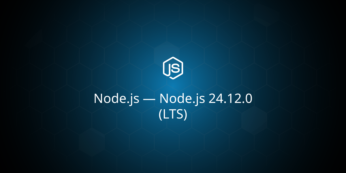 Node.js 24.12.0 (LTS)