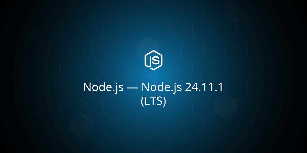 Node.js 24.11.1 (LTS)
