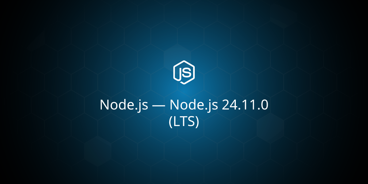 Node.js 24.11.0 (LTS)